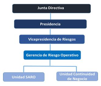 estructura SARO