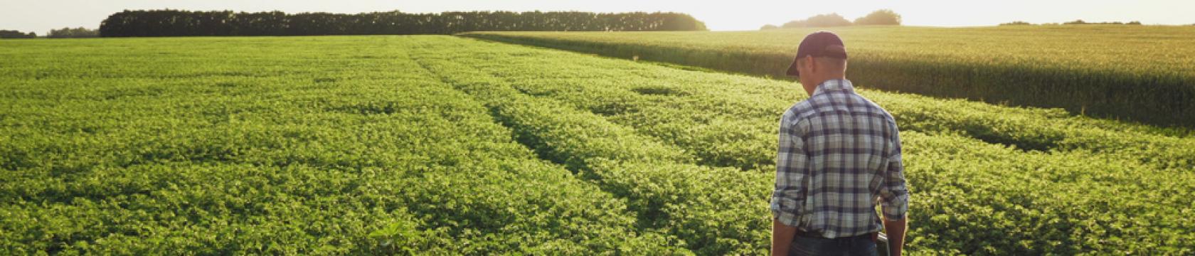 Finagro
