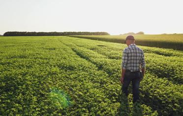 Financiacion Finagro