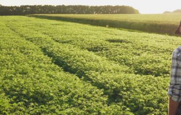 Finagro